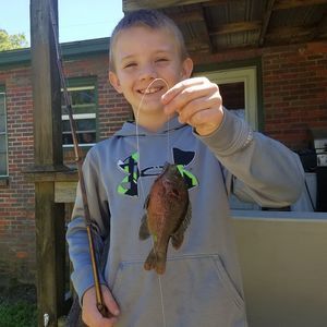 Meet your Posher, Stephen